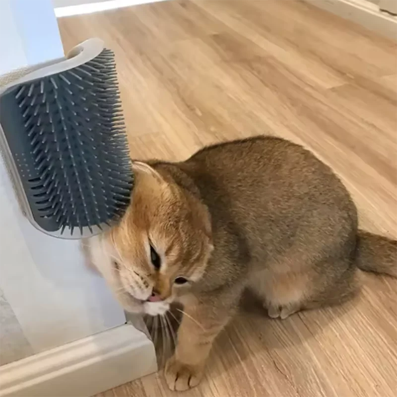 Escova de Canto para Gatos – Massajador e Pente de Limpeza